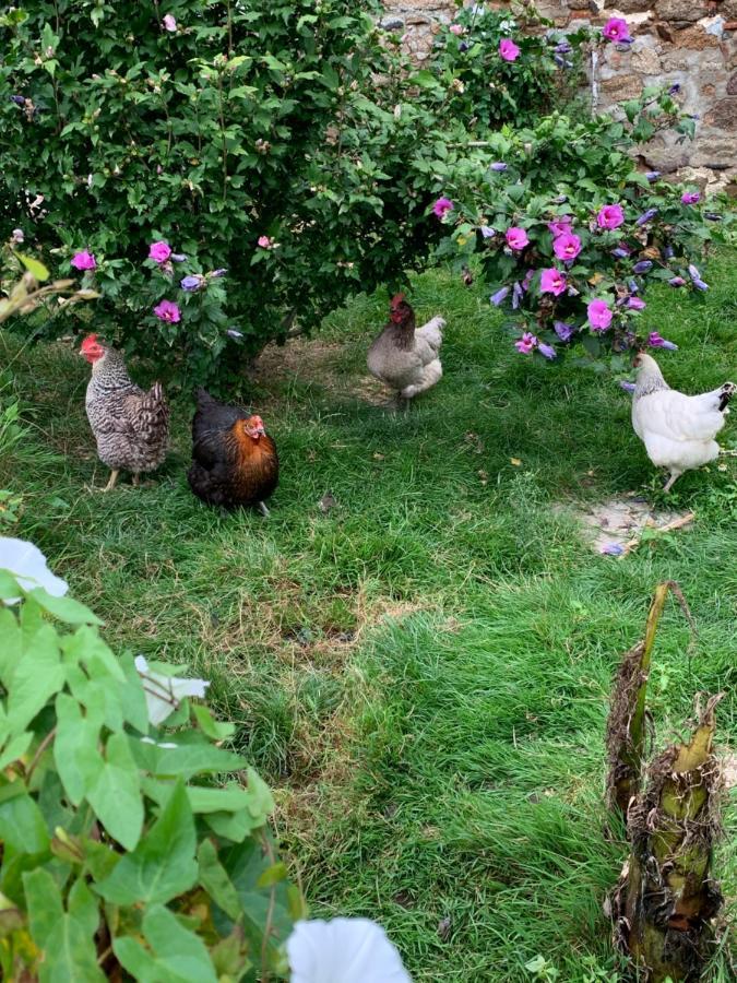 Bed and Breakfast La Basse Monniere Sevremont Экстерьер фото