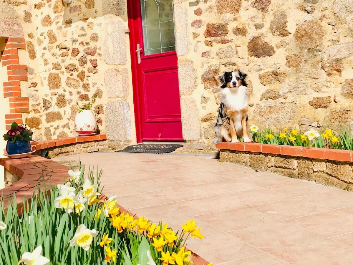 Bed and Breakfast La Basse Monniere Sevremont Экстерьер фото